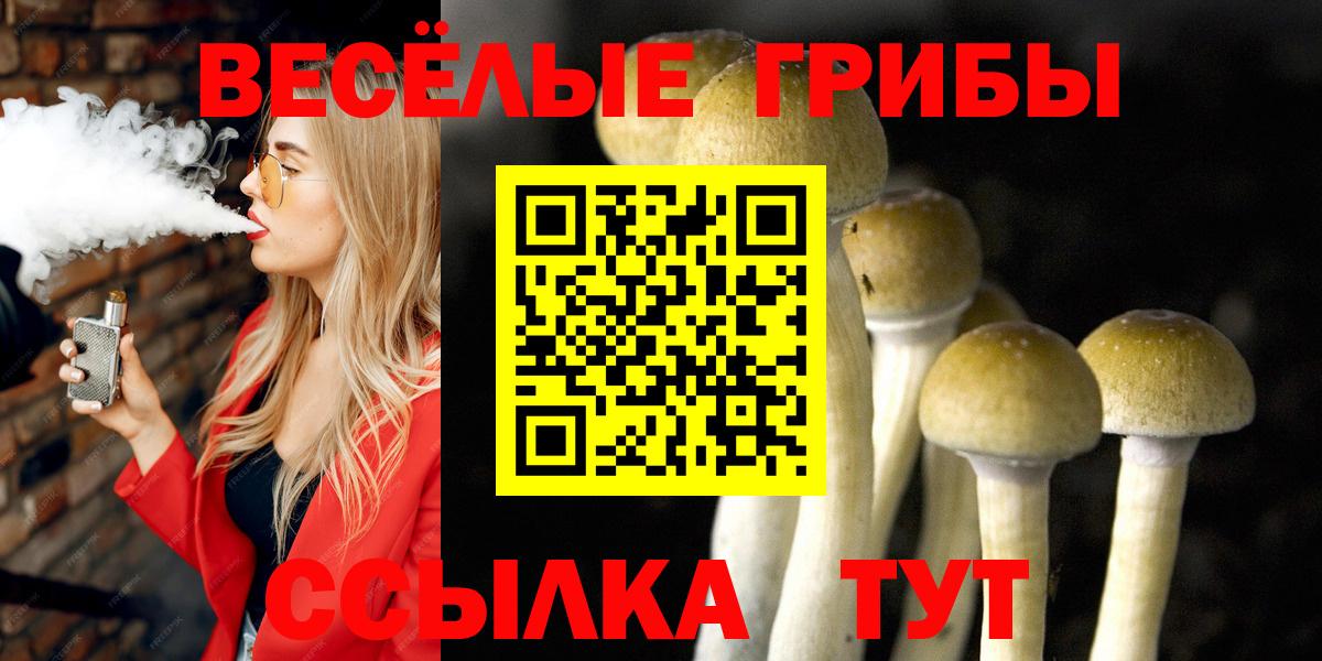 Галлюциногенные грибы мухоморы  Вход с VPN  Сатка 