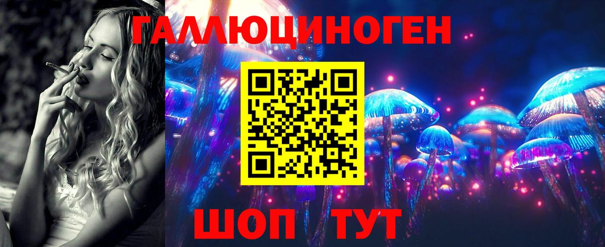 Псилоцибиновые грибы Psilocybine cubensis Сатка